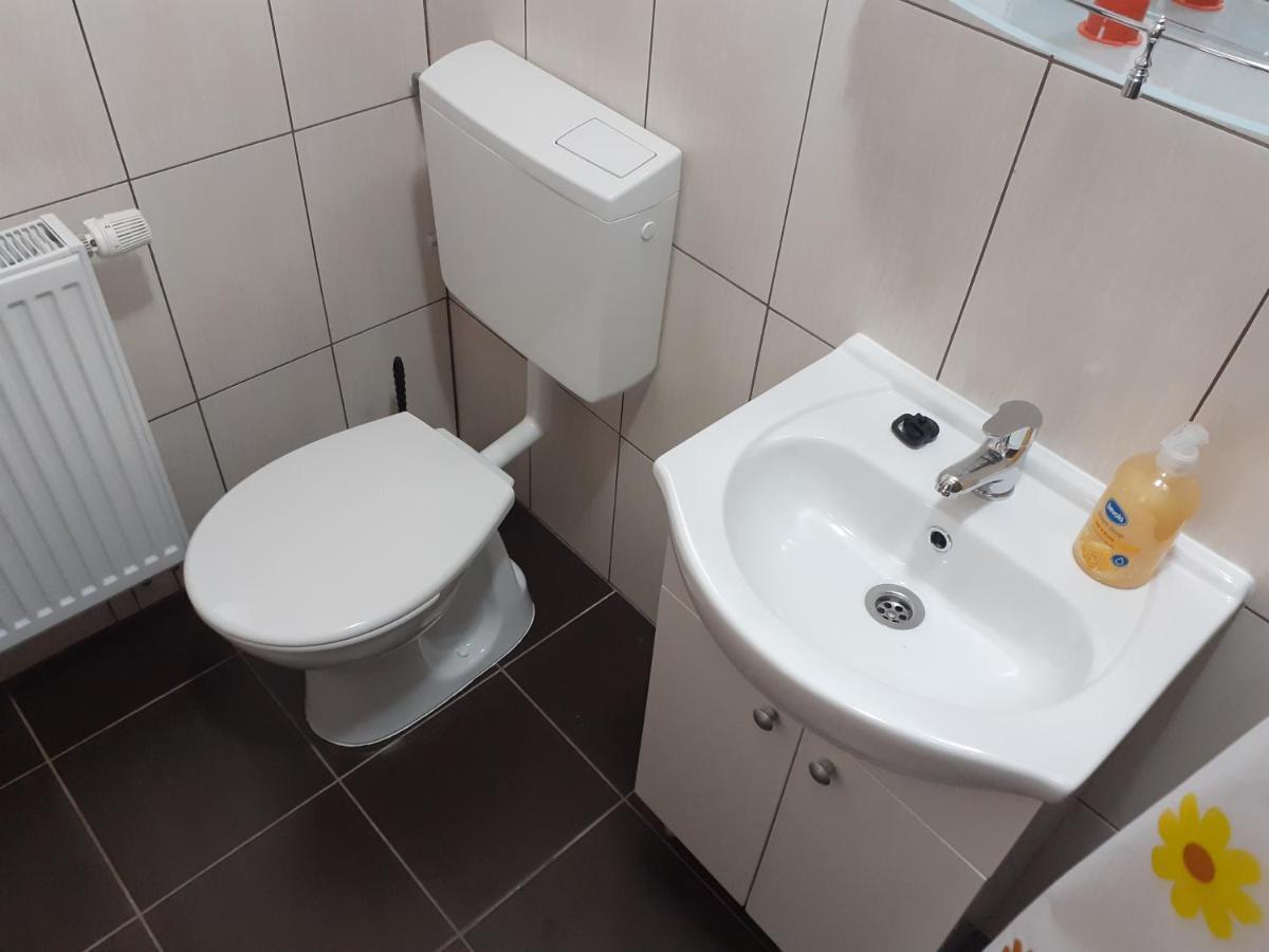 Kacsó Apartma Ocna de Sus Exterior foto