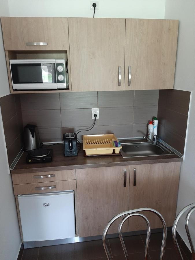 Kacsó Apartma Ocna de Sus Exterior foto